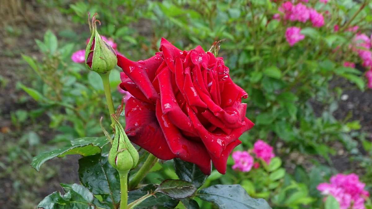 ���� ����� �����. ����� �������� �������� �� PhotoGeek.ru #����� #�����
