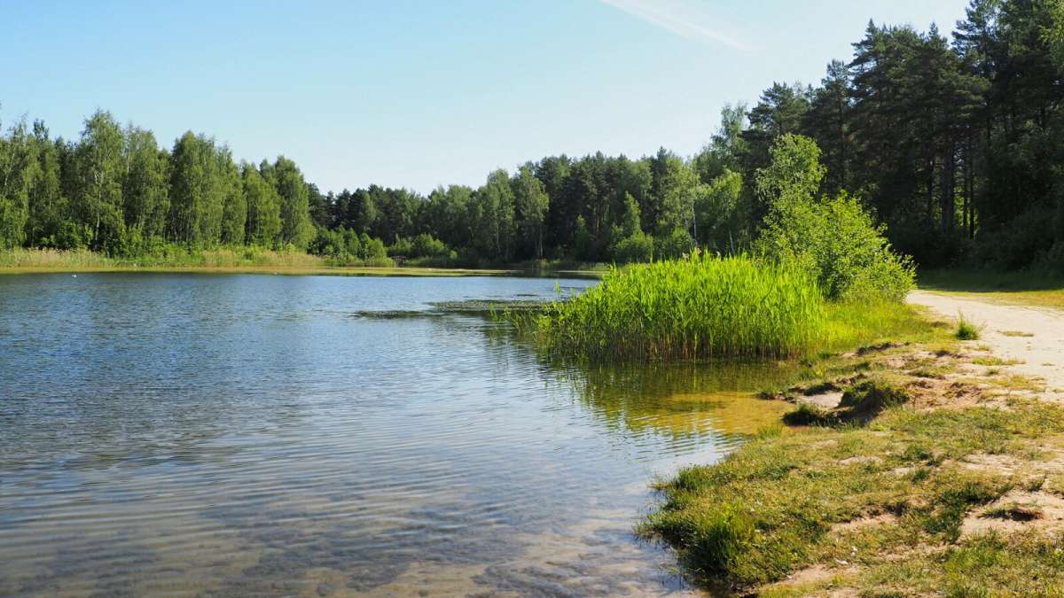 ������� ����������. ����� �������� �������� �� PhotoGeek.ru #������ ��� �������