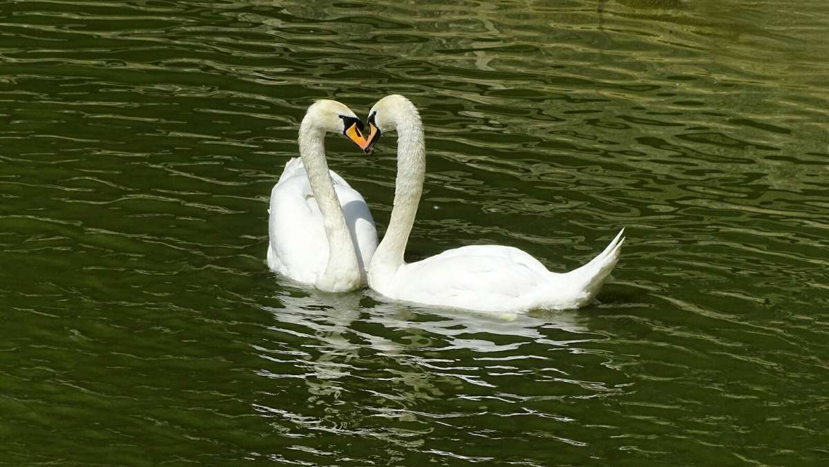 ������  ���������� ����. ����� �������� �������� �� PhotoGeek.ru #����� #�������� ���