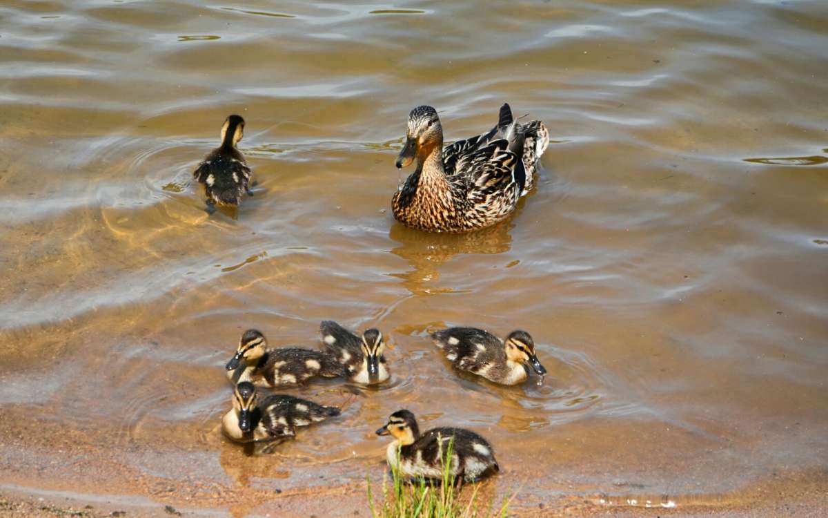 ������ � ��������. ����� �������� �������� �� PhotoGeek.ru #�������� ���