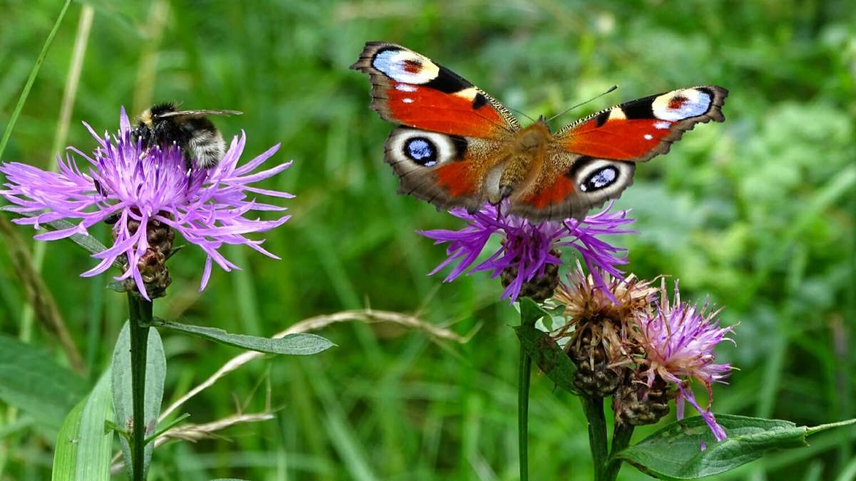 ��� �������. ����� �������� �������� �� PhotoGeek.ru #�������� ��� #������ ��� �������