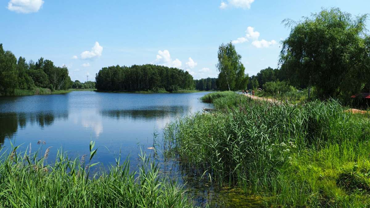 ���� �� ����������. ����� �������� �������� �� PhotoGeek.ru #������ ��� �������