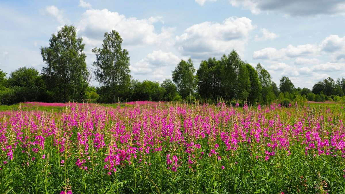 ����� ����- ��� (������ ����������). ����� �������� �������� �� PhotoGeek.ru #������ ��� �������