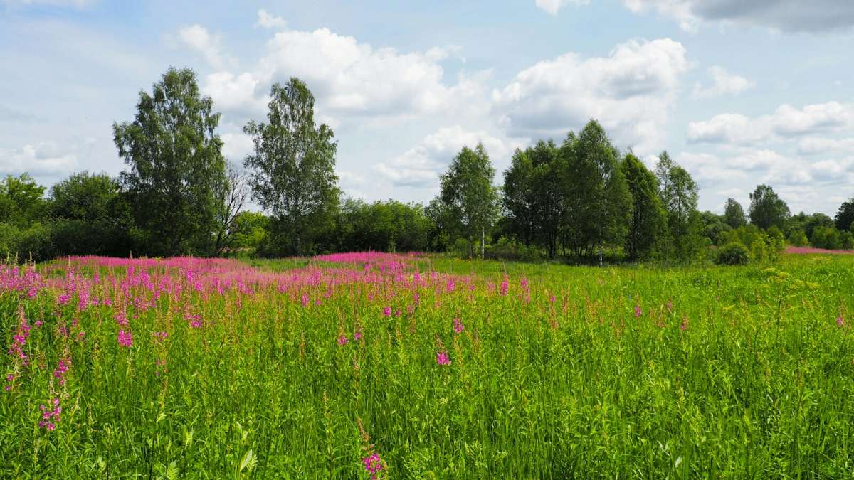 ����� ����- ���. ����� �������� �������� �� PhotoGeek.ru #������ ��� �������