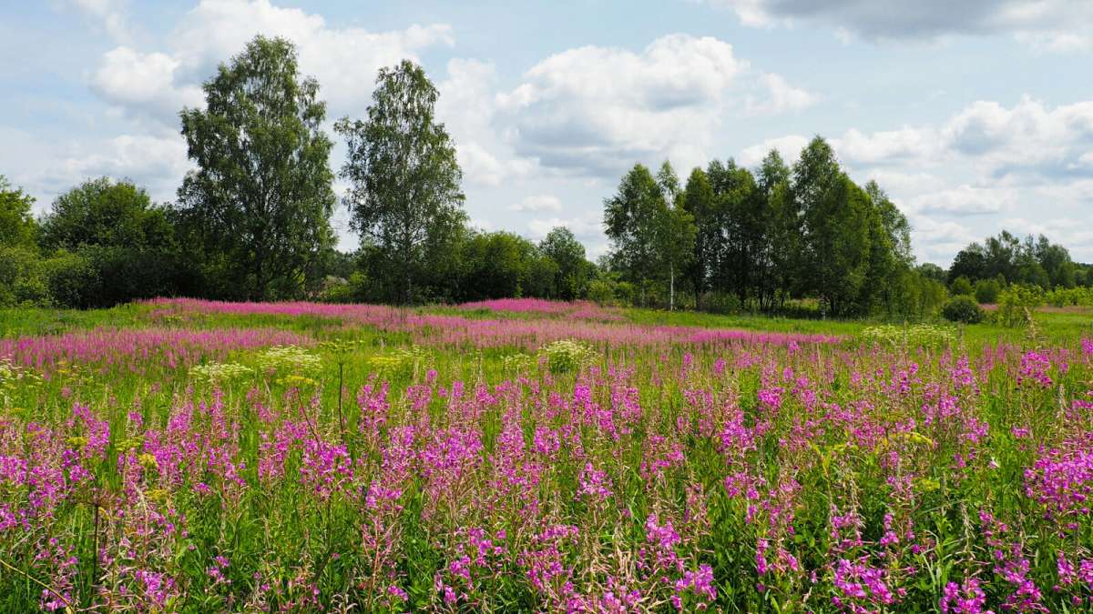 ������ �������� ���� - ���. ����� �������� �������� �� PhotoGeek.ru #������ ��� �������