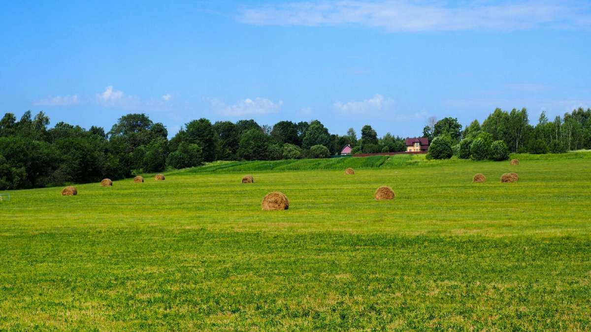 ������ ����������� ������. ����� �������� �������� �� PhotoGeek.ru #������ ��� �������