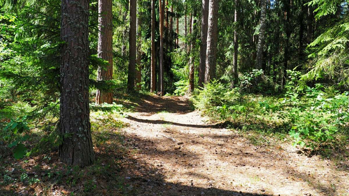 ������ ���. ����� �������� �������� �� PhotoGeek.ru #������ ��� �������