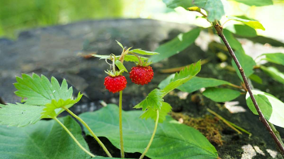 ������ ���������. ����� �������� �������� �� PhotoGeek.ru #����� #������ ��� �������