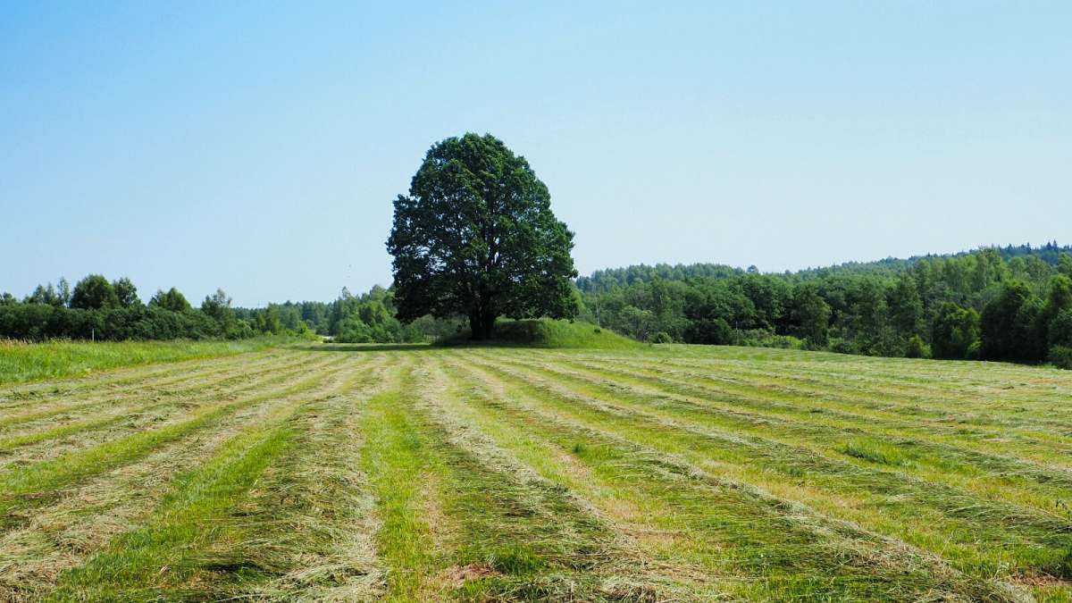 �������� ���. ����� �������� �������� �� PhotoGeek.ru #������ ��� �������