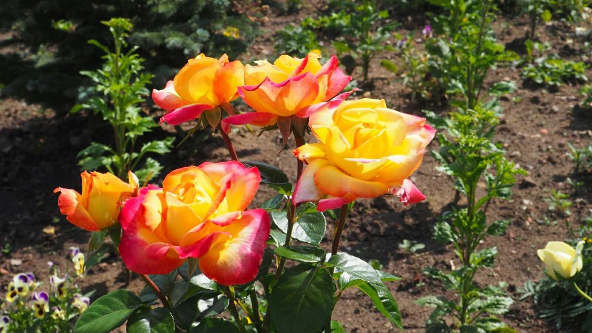 ��������� ����. ����� �������� �������� �� PhotoGeek.ru #����� #�����