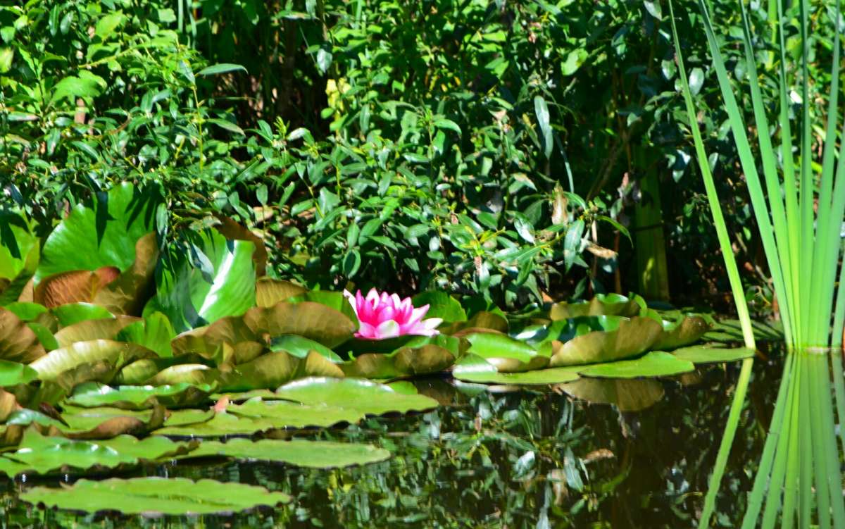 ������� �����. ����� �������� �������� �� PhotoGeek.ru #������ ��� �������