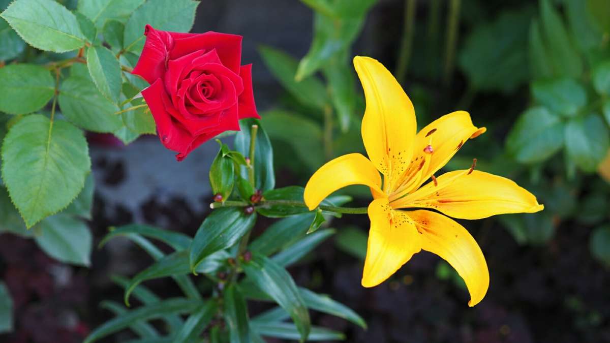 ����� �� ��������� �������. ����� �������� �������� �� PhotoGeek.ru #����� #�����
