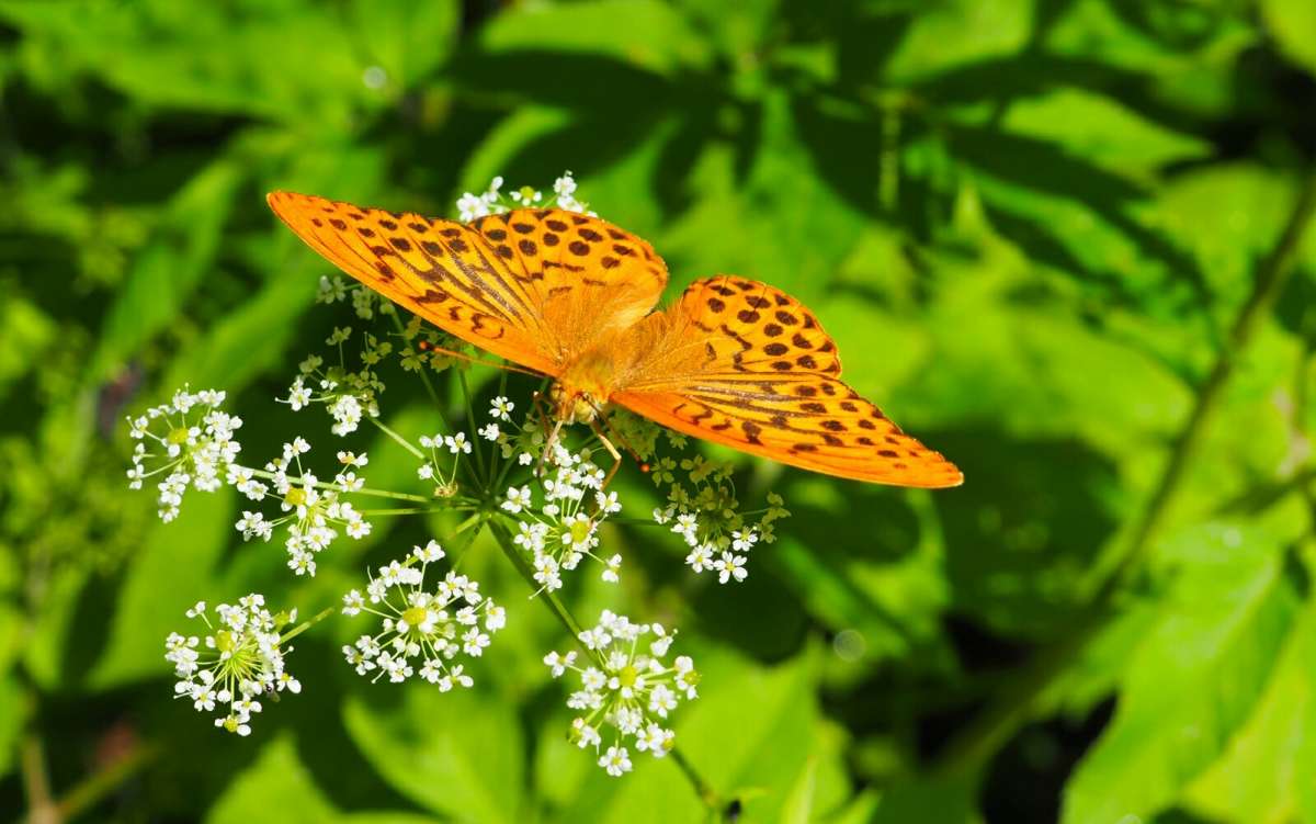 ������� �������������. ����� �������� �������� �� PhotoGeek.ru #����� #�������� ���