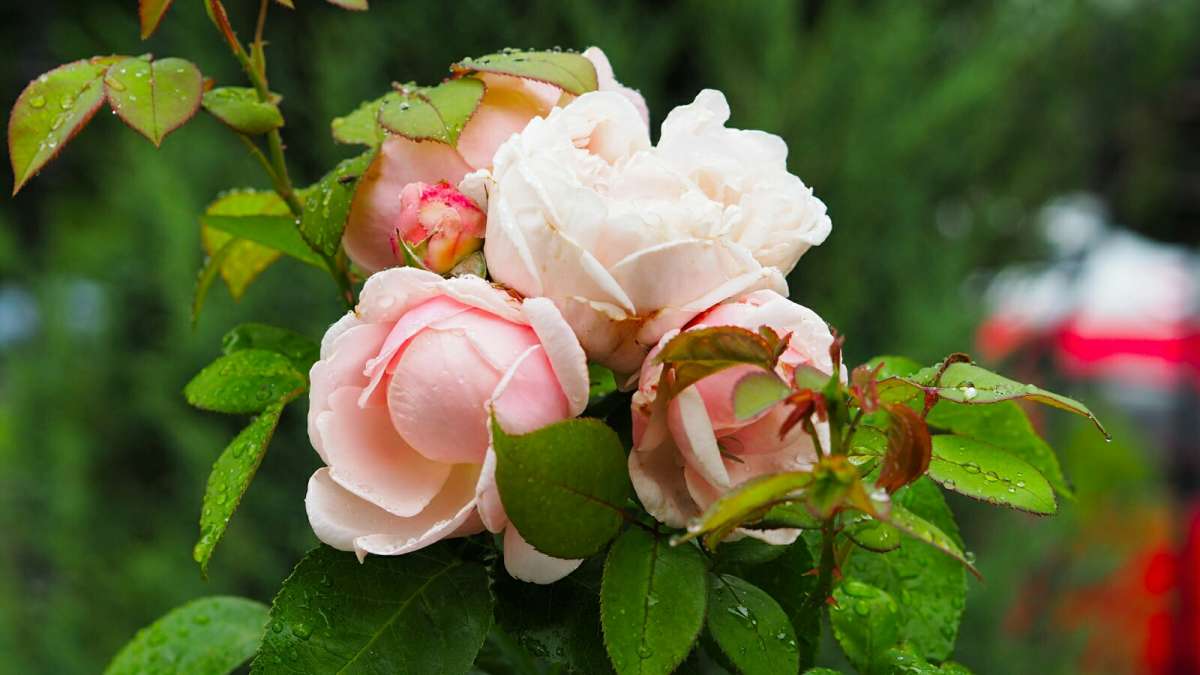 ��������� ����. ����� �������� �������� �� PhotoGeek.ru #����� #�����