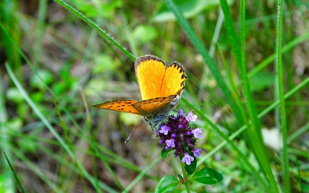 � ��������. ����� �������� �������� �� PhotoGeek.ru #������ ��� �������