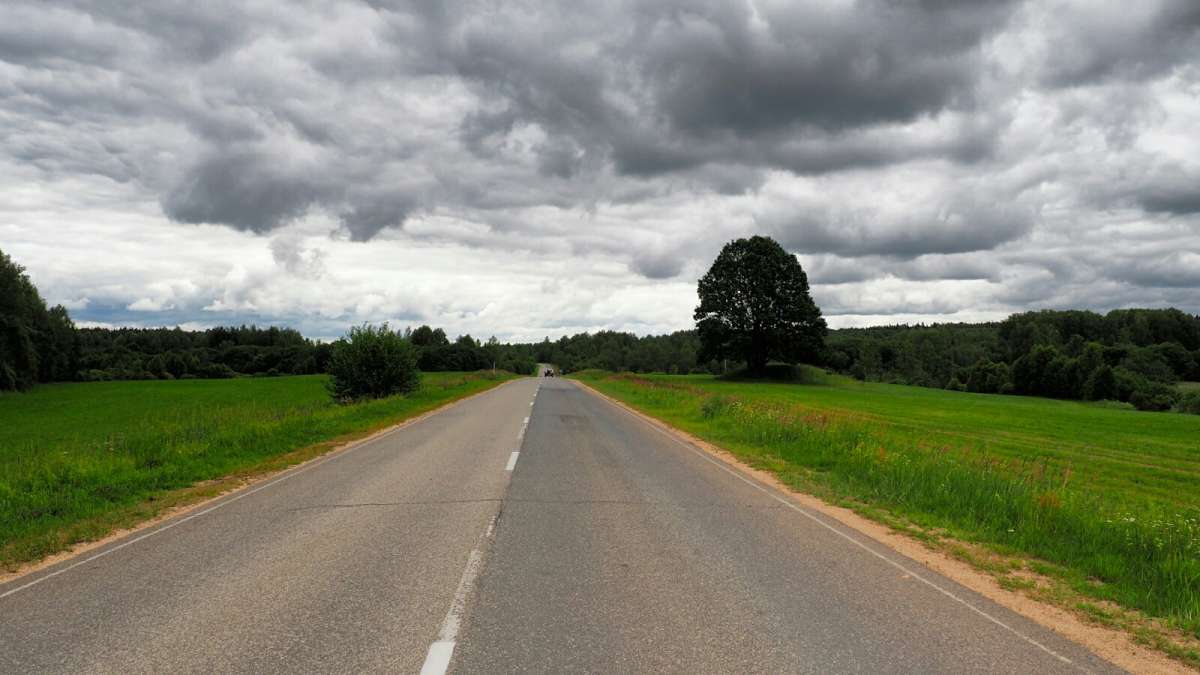 ������������ ���� (1). ����� �������� �������� �� PhotoGeek.ru #������ ��� �������