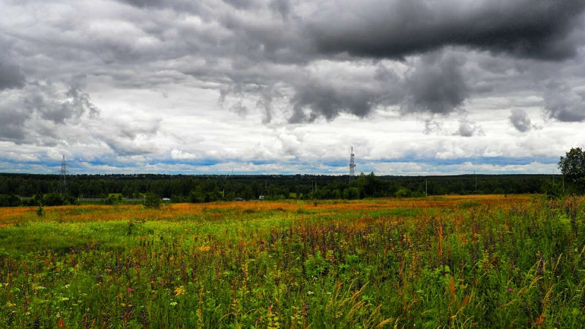 ������������ ���� (2). ����� �������� �������� �� PhotoGeek.ru #������ ��� �������