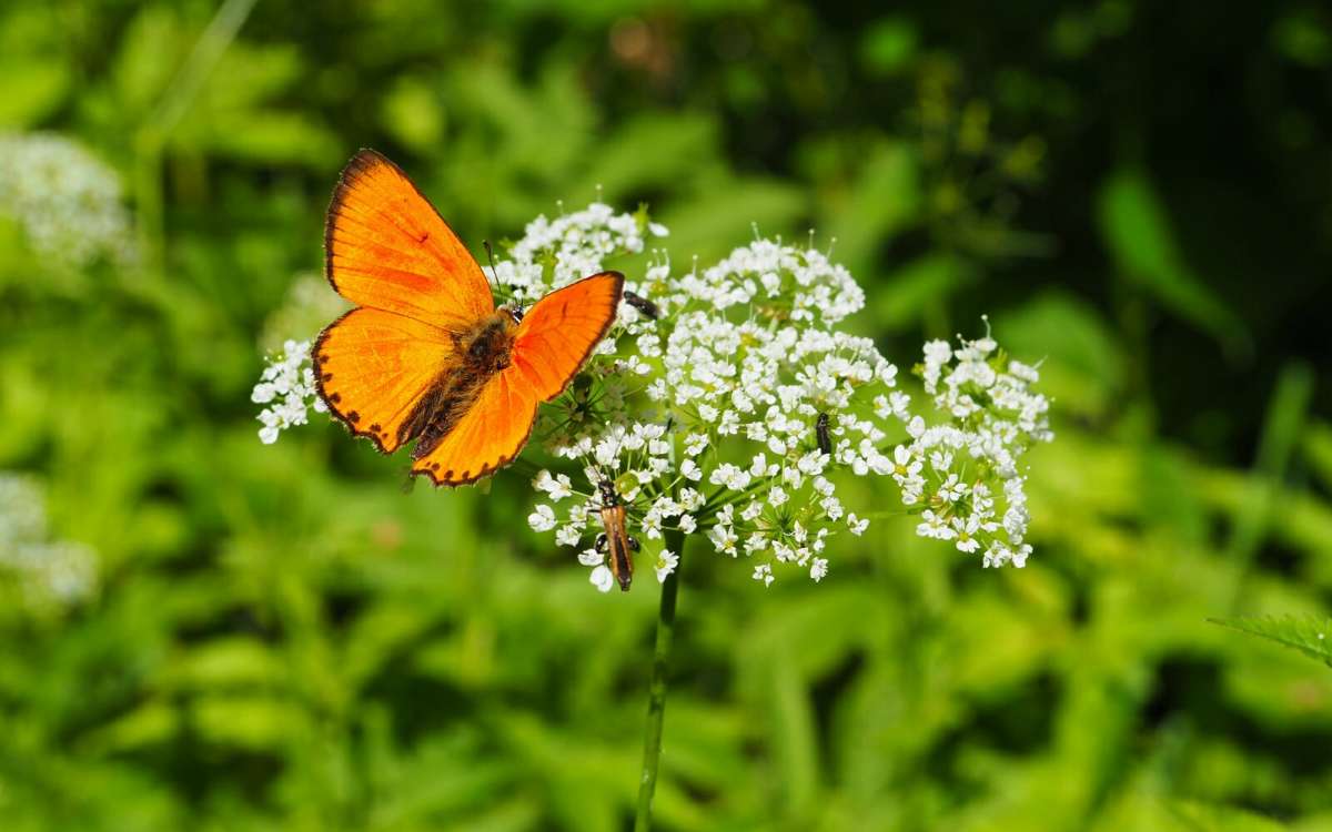 � ��������. ����� �������� �������� �� PhotoGeek.ru #�����
