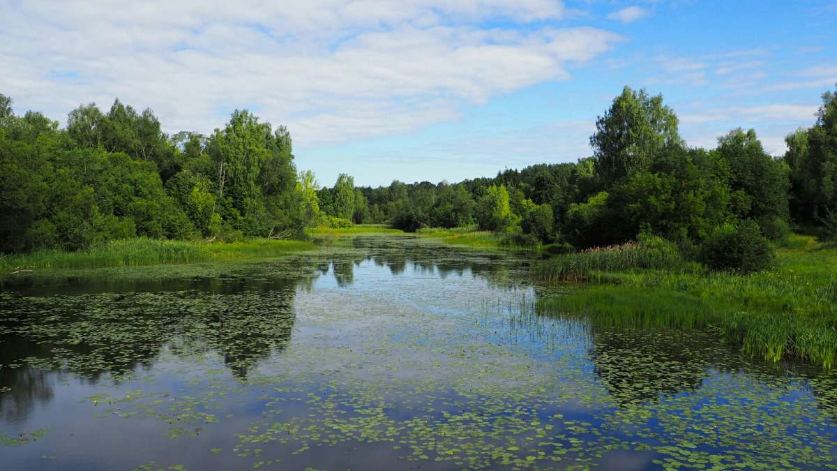 ������� ����������. ����� �������� �������� �� PhotoGeek.ru #������ ��� �������