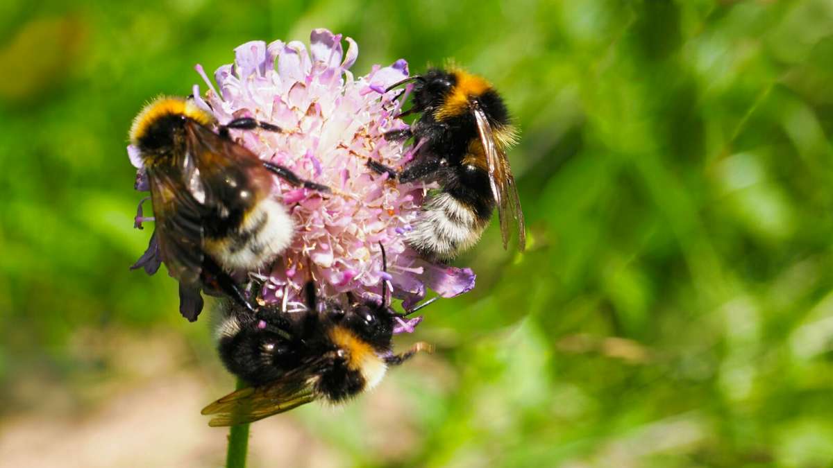 ����������. ����� �������� �������� �� PhotoGeek.ru #����� #�������� ���