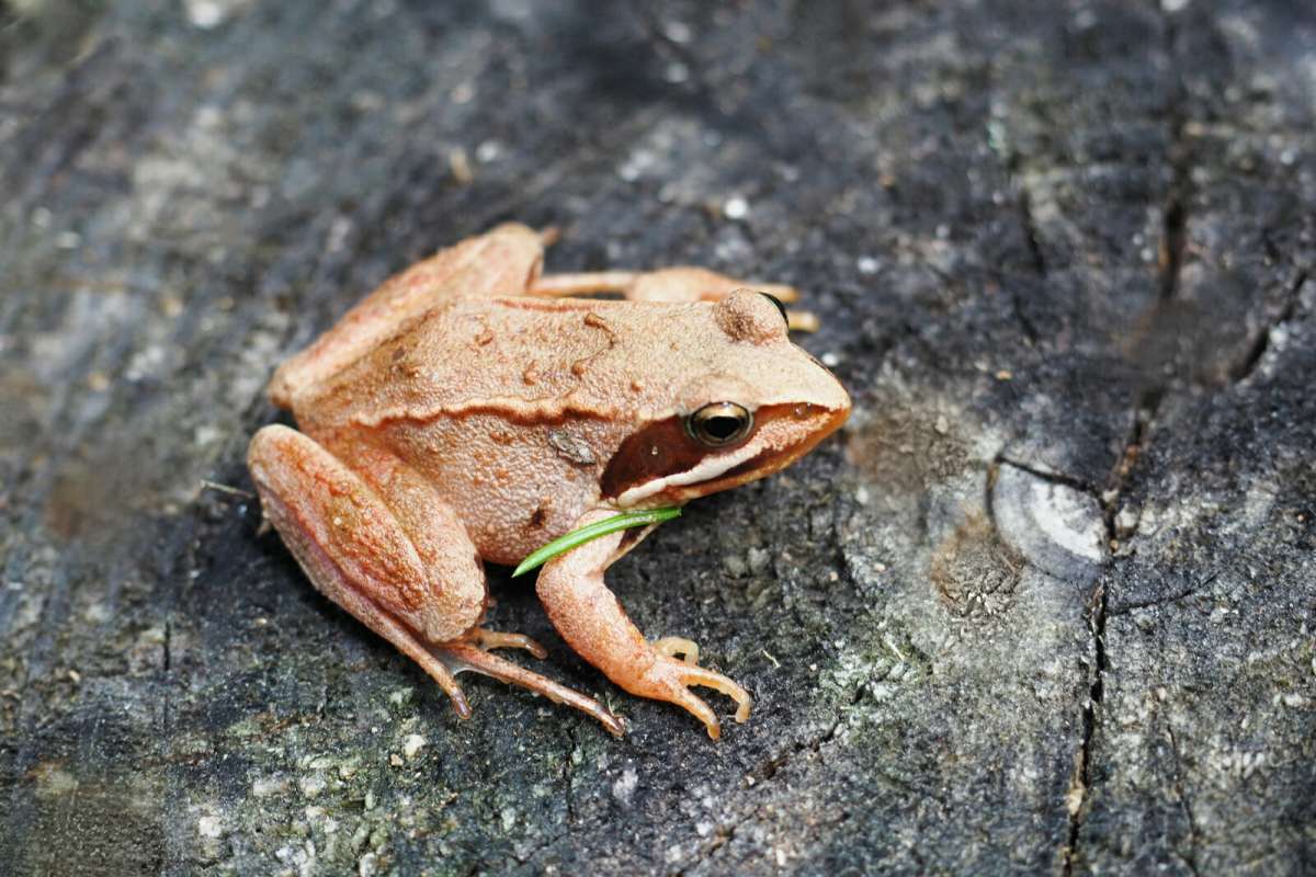 �������� �������. ����� �������� �������� �� PhotoGeek.ru #����� #�������� ���