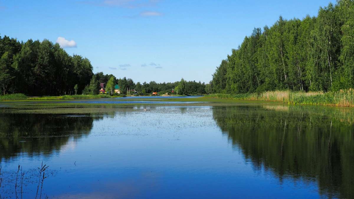 ���������� � ����. ����� �������� �������� �� PhotoGeek.ru #������ ��� �������