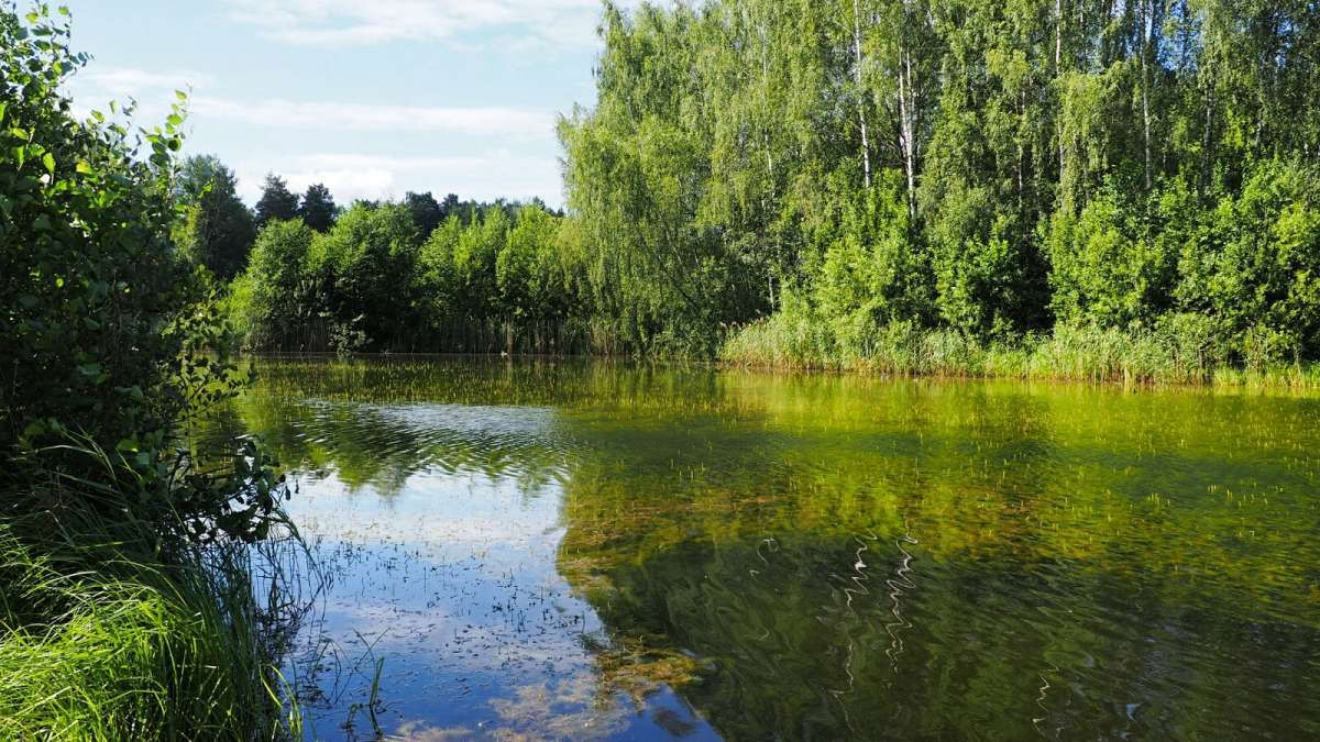 ������ ������. ����� �������� �������� �� PhotoGeek.ru #������ ��� �������