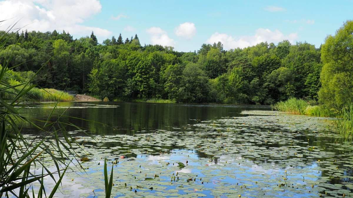 ���� - ����. ����� �������� �������� �� PhotoGeek.ru #������ ��� �������