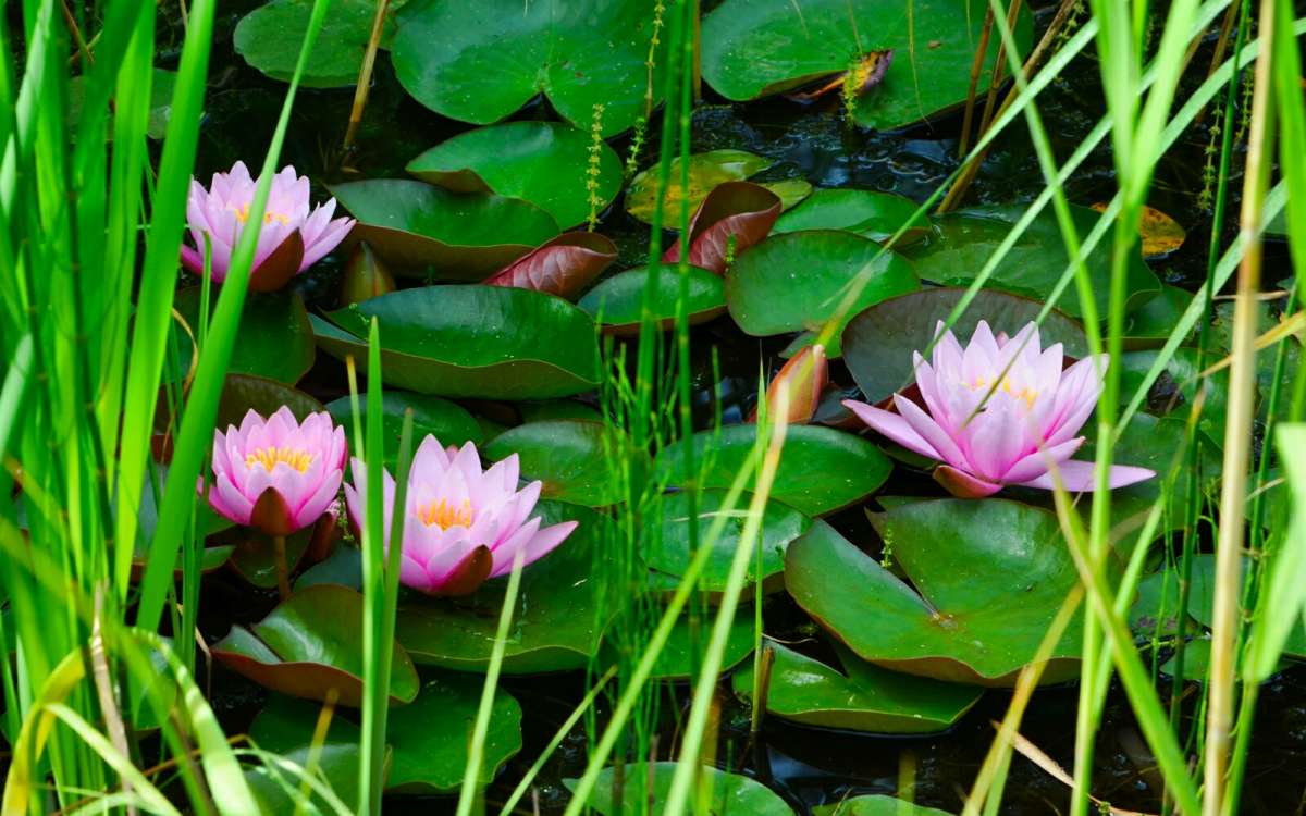 ������� �����. ����� �������� �������� �� PhotoGeek.ru #������ ��� �������