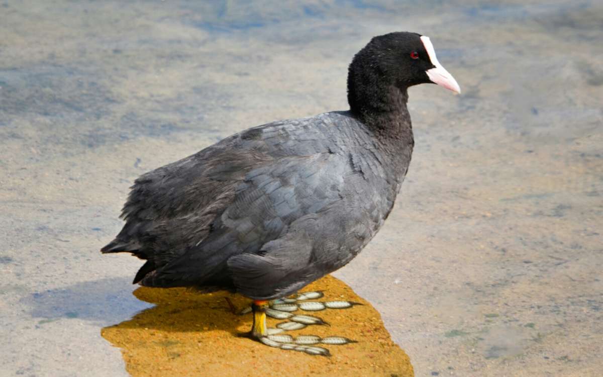 ������. ����� �������� �������� �� PhotoGeek.ru #�������� ���