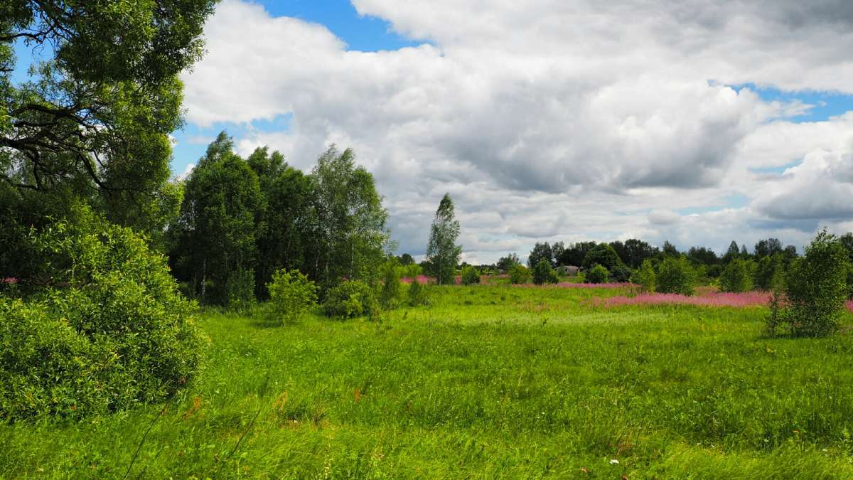 �������� ����. ����� �������� �������� �� PhotoGeek.ru #������ ��� �������