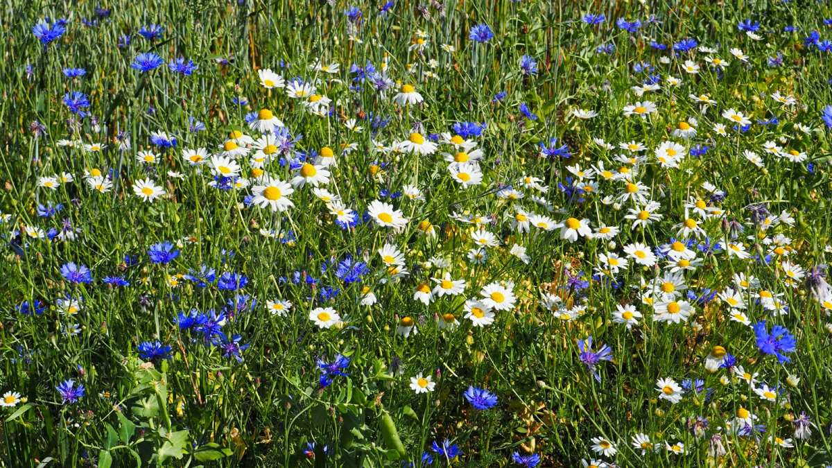 ������� ����. ����� �������� �������� �� PhotoGeek.ru #������ ��� �������