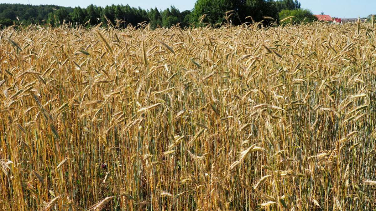 ��������� ������� ����. ����� �������� �������� �� PhotoGeek.ru #������ ��� �������