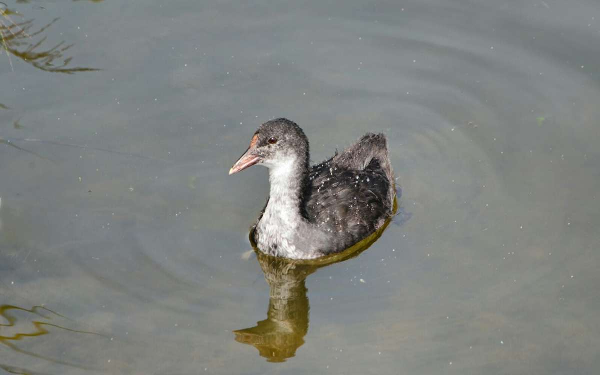 ���������, �� ������� �� ���������. ����� �������� �������� �� PhotoGeek.ru #�������� ���