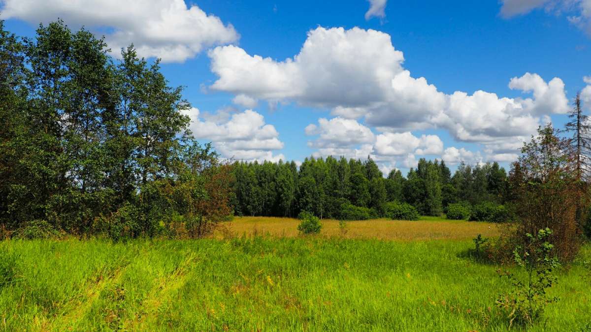 ���� ����. ����� �������� �������� �� PhotoGeek.ru #������ ��� �������