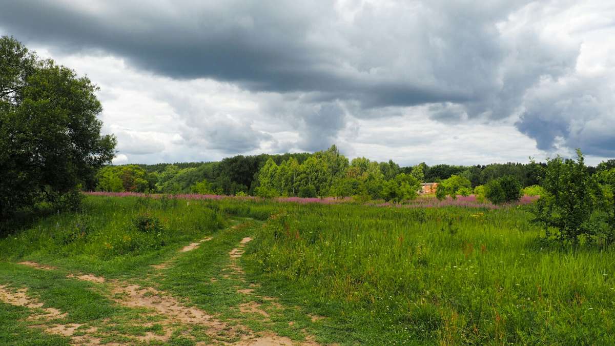 ���������� ����. ����� �������� �������� �� PhotoGeek.ru #������ ��� �������