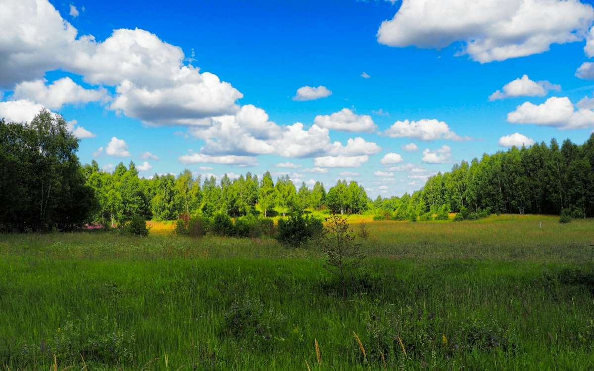 ����������� ������. ����� �������� �������� �� PhotoGeek.ru #������ ��� �������