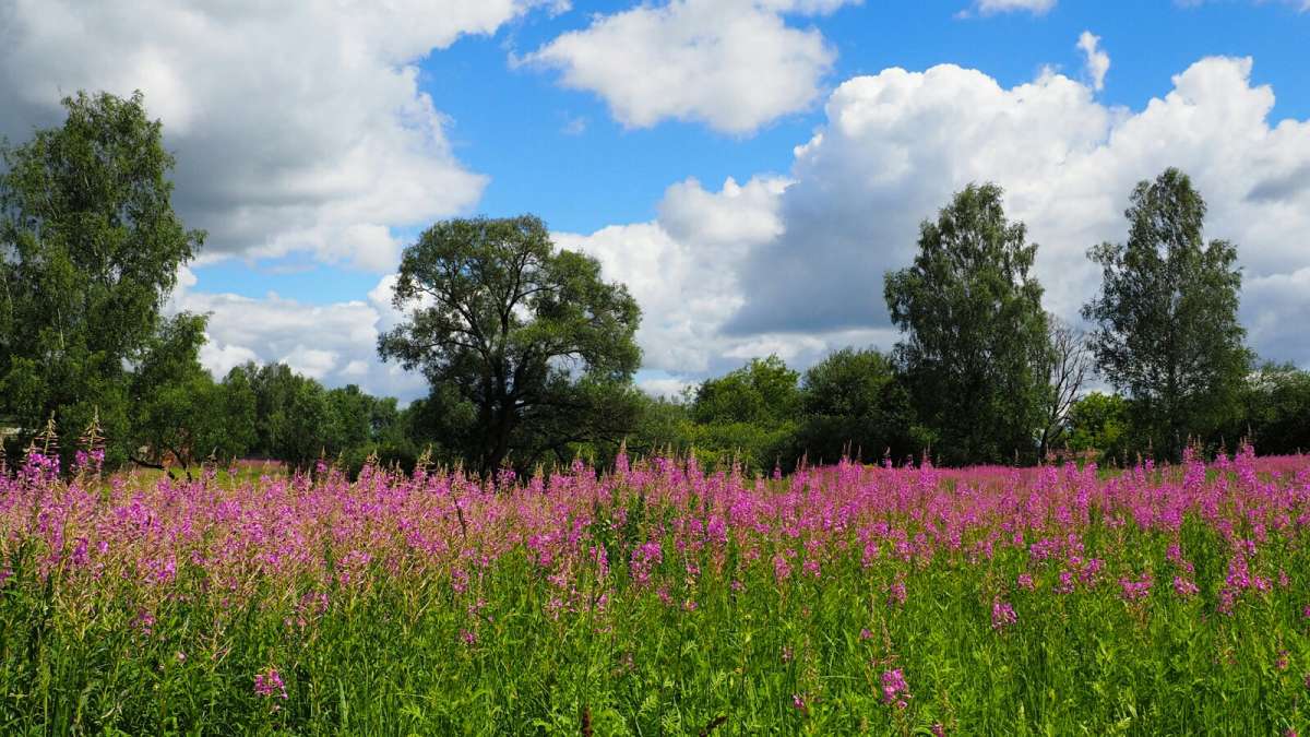 ��������� ����. ����� �������� �������� �� PhotoGeek.ru #������ ��� �������