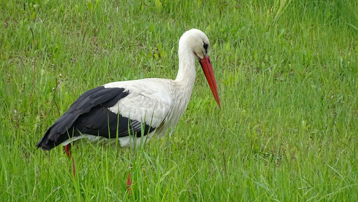 ����� ����. ����� �������� �������� �� PhotoGeek.ru #�������� ���