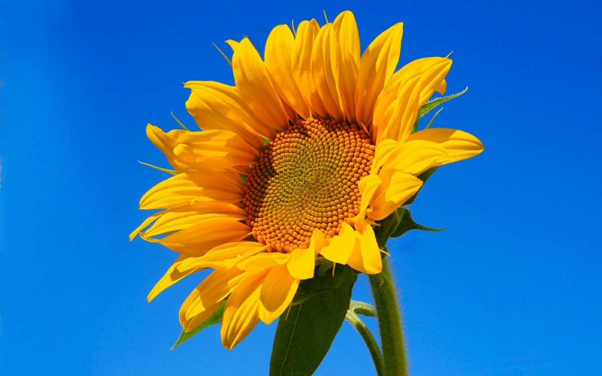"��������" ����� �������� �������� �� PhotoGeek.ru #�����