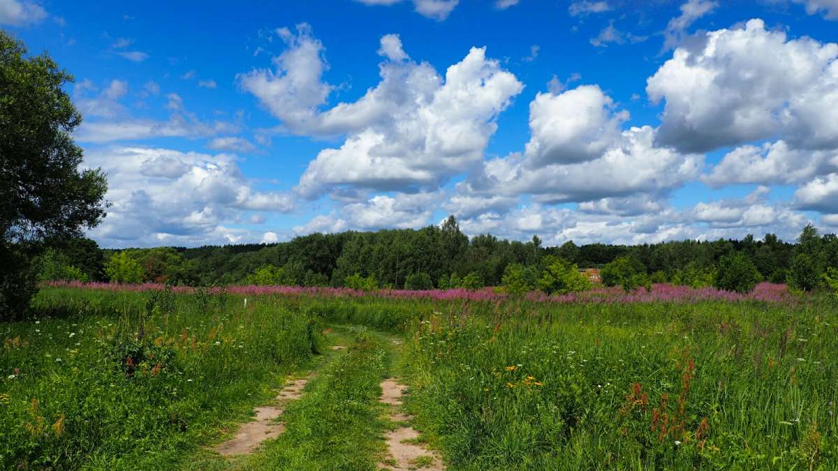 ���� ����. ����� �������� �������� �� PhotoGeek.ru #������ ��� �������