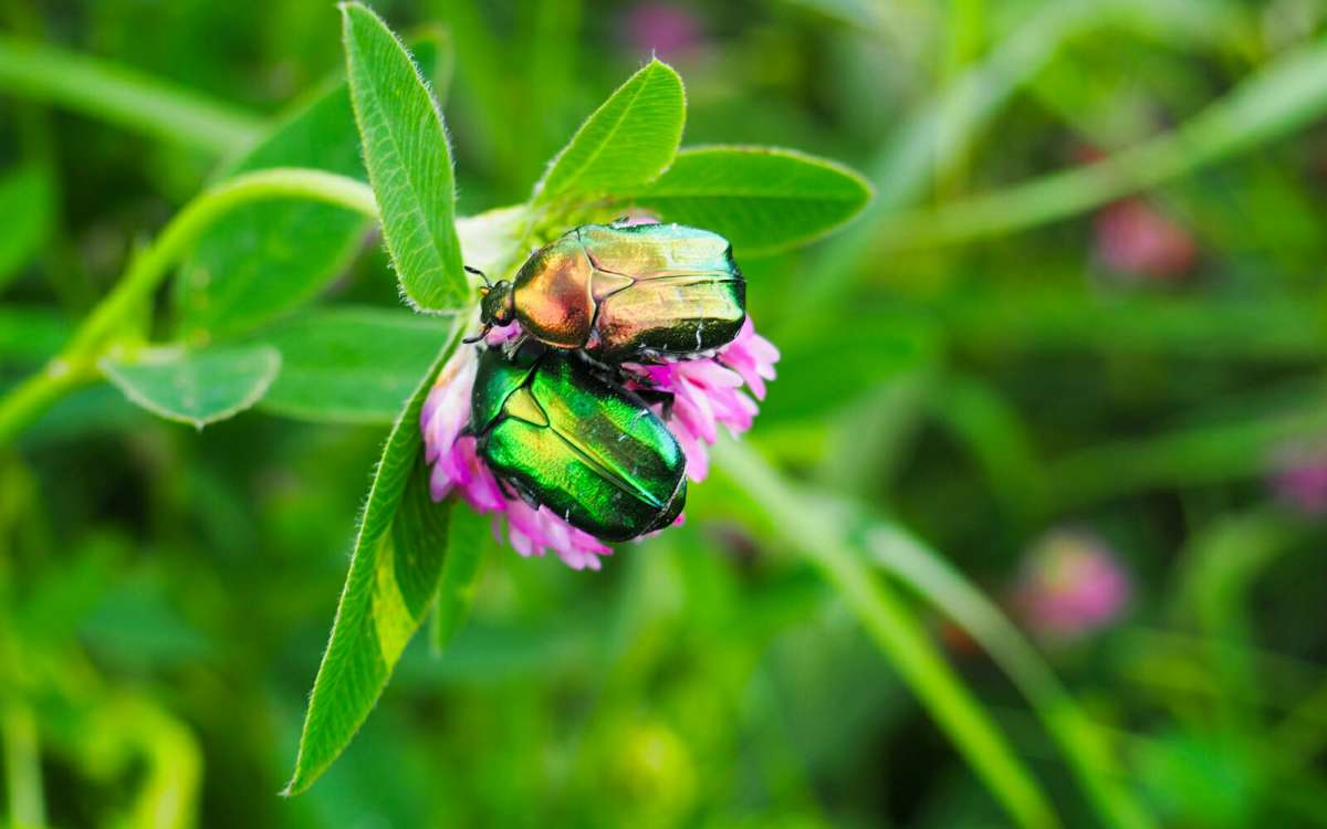 �� ����� ���������. ����� �������� �������� �� PhotoGeek.ru #����� #�������� ���