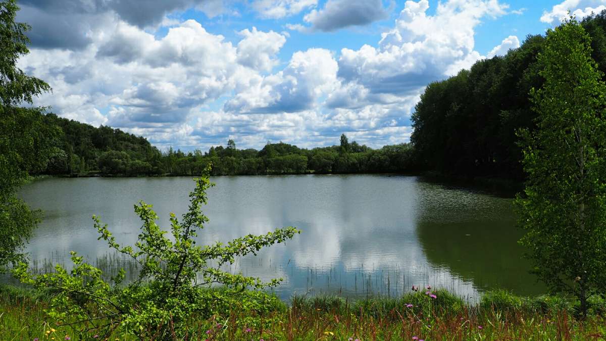 ��� ����. ����� �������� �������� �� PhotoGeek.ru #������ ��� �������