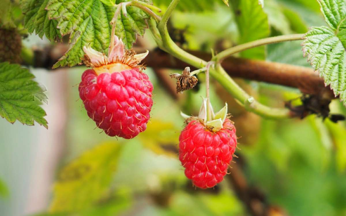 ������� ������. ����� �������� �������� �� PhotoGeek.ru #����� #�����