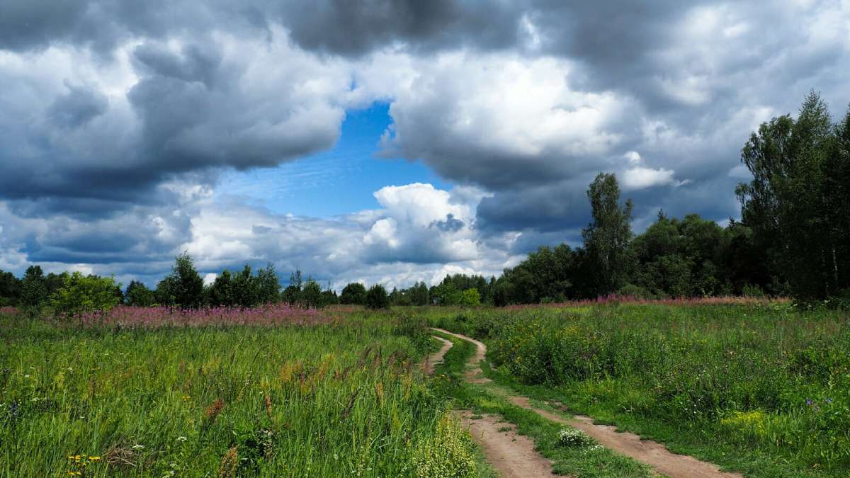 ���� ����. ����� �������� �������� �� PhotoGeek.ru #������ ��� �������