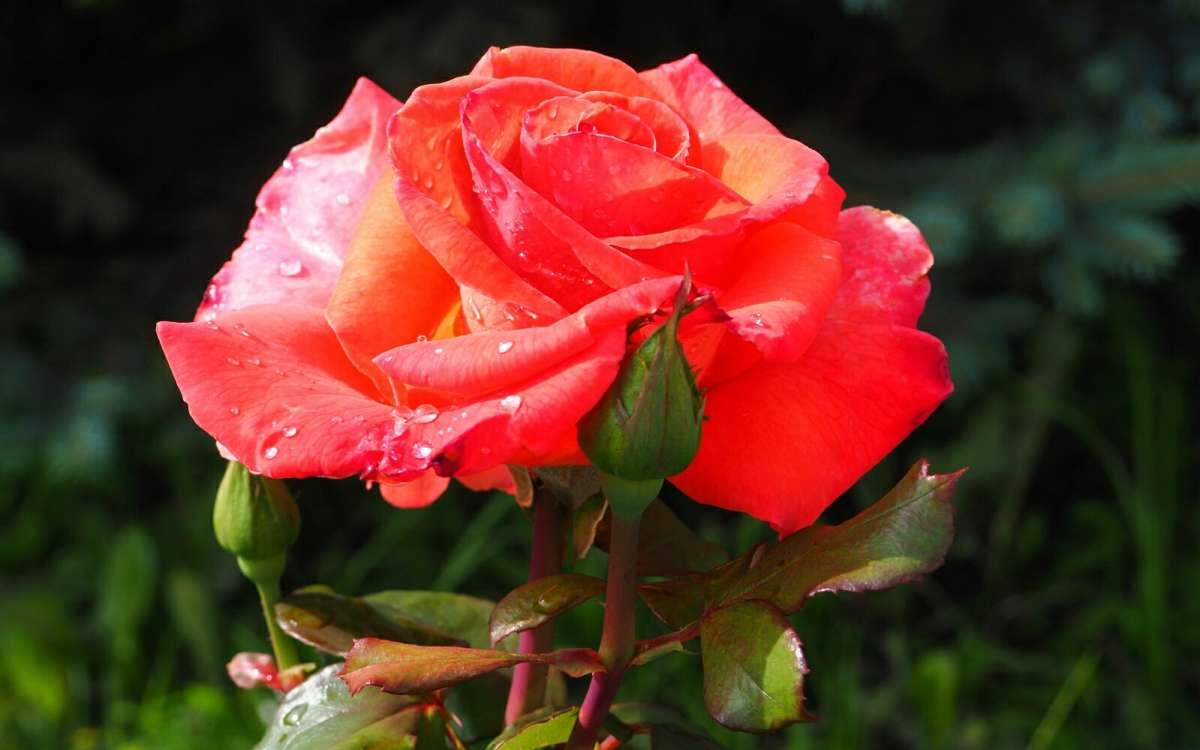 ��� ����. ����� �������� �������� �� PhotoGeek.ru #����� #�����