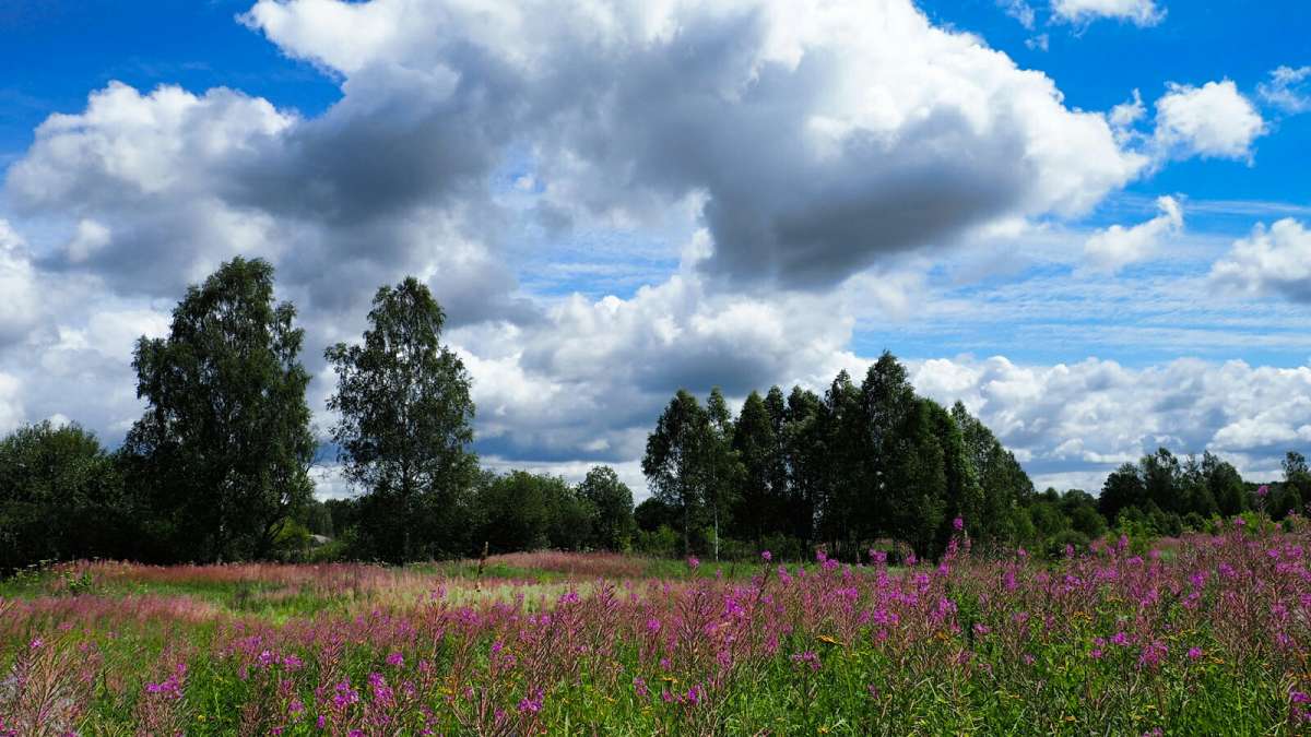 �������. ����� �������� �������� �� PhotoGeek.ru #������ ��� �������