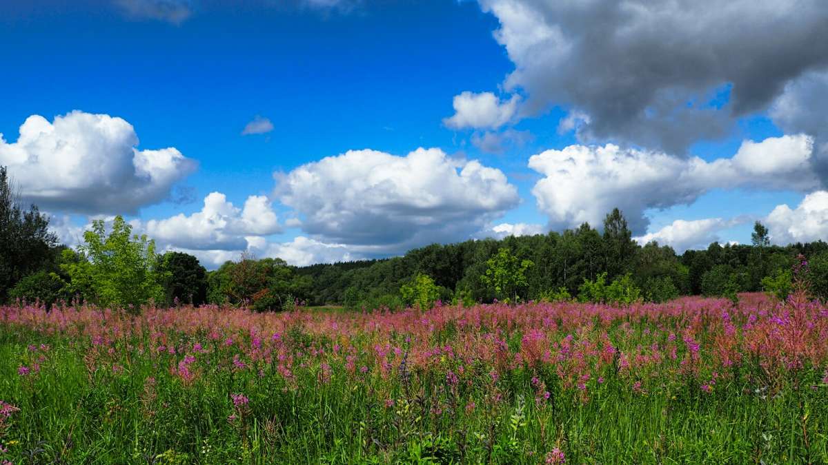 ����. ����� �������� �������� �� PhotoGeek.ru #������ ��� �������