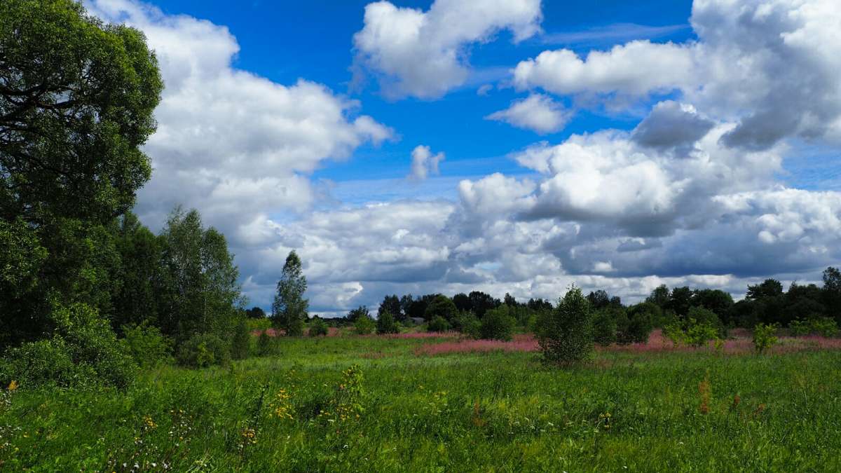 ���� - ����� ����. ����� �������� �������� �� PhotoGeek.ru #������ ��� �������