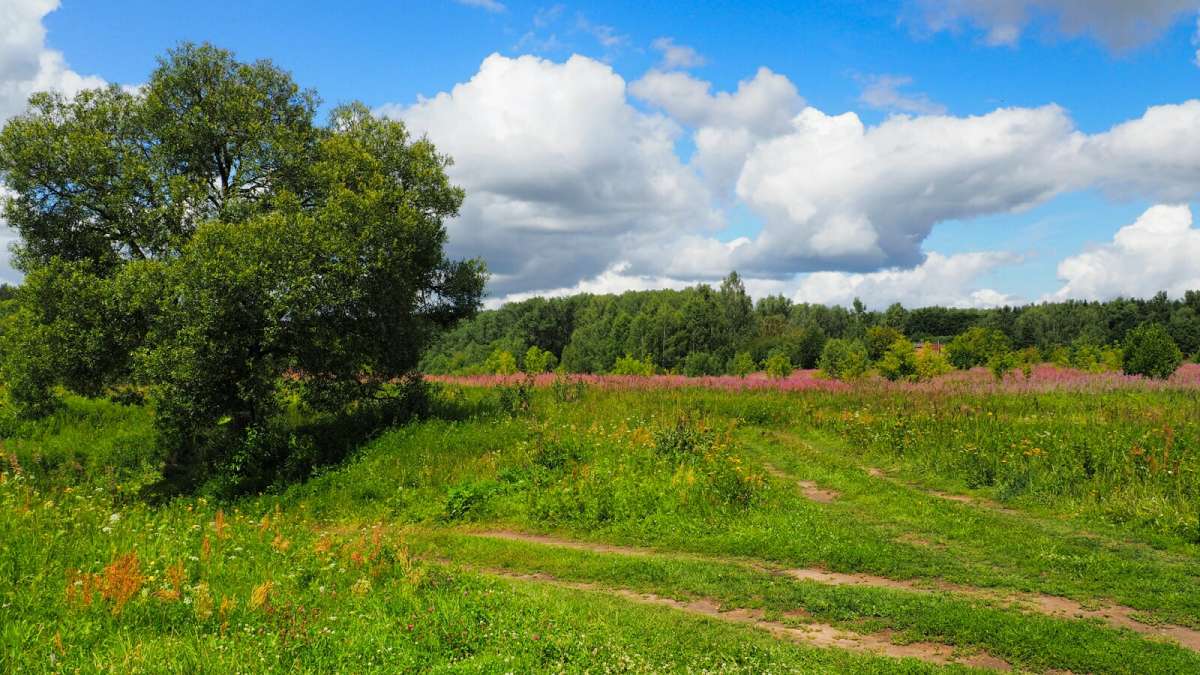 � �������� ���� �����. ����� �������� �������� �� PhotoGeek.ru #������ ��� �������